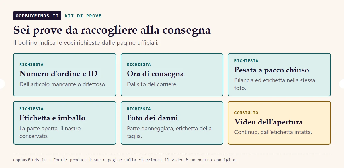 Kit di prove in sei voci: numero d'ordine, ora di consegna, peso prima dell'apertura, foto dell'etichetta, video dell'apertura, ID articolo
